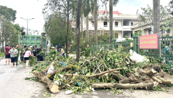 Viện kiểm sát nhân dân thành phố Hải Dương tích cực khắc phục hậu quả sau cơn bão số 3 (yagi)