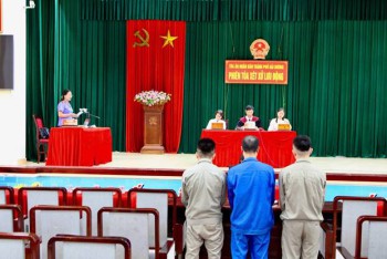 Khi “tri thức” lạc lối