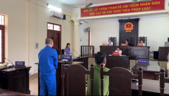 Cái kết 15 tháng tù cho kẻ giả vờ hỏi thăm để trộm cắp