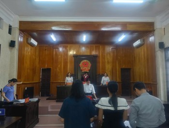Yêu cầu bồi thường hợp đồng đào tạo, hợp đồng bảo lãnh được chấp nhận